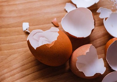 برای تامین مواد معدنی و کلسیم، پوسته تخم مرغ بخورید