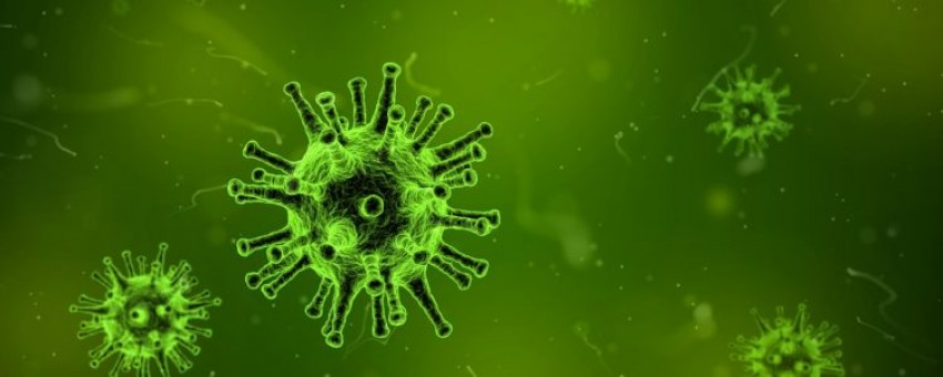 ویروس آنفلوآنزا چیست؛ و چه عوارضی دارد؟ + درمان