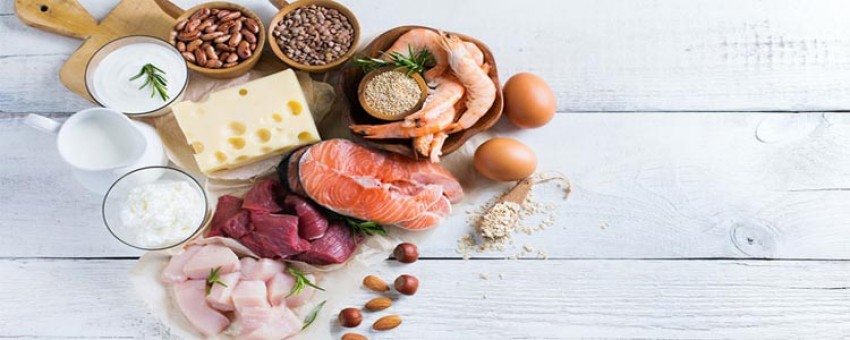 پروتئین چیست و چرا خوردن آن ضروریست؟