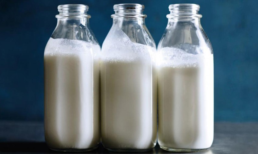 مصرف شیر خشک برای بزرگسالان چه فواید و مضراتی دارد؟