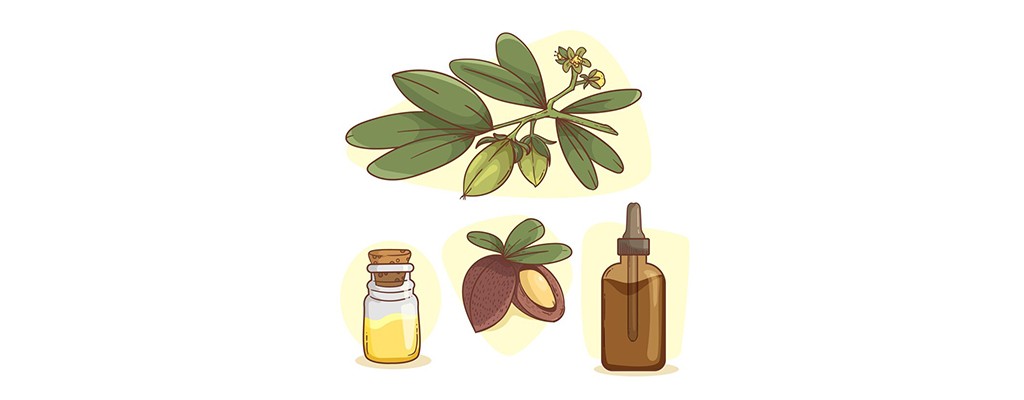 با روغن آرگان با خشکی مو خداحافظی کنید